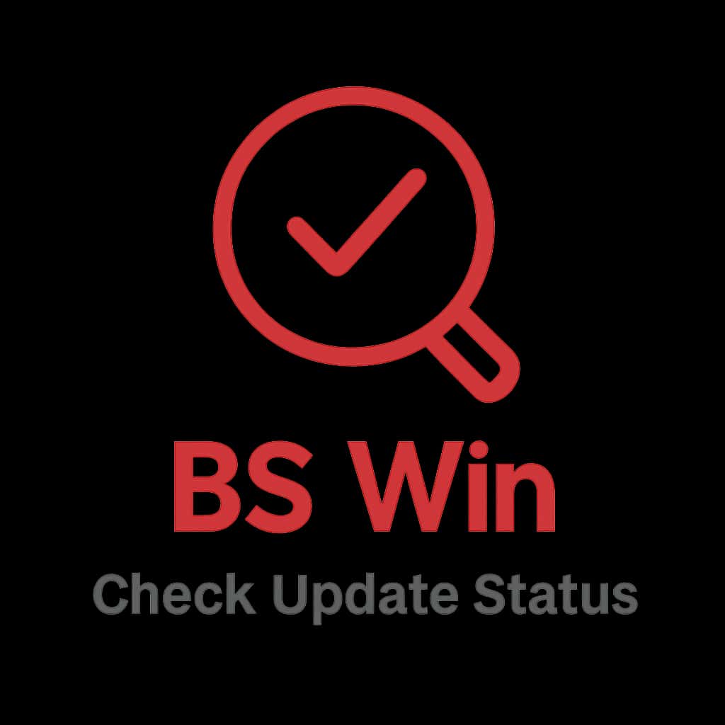 Icon representing the BS Win update status check.